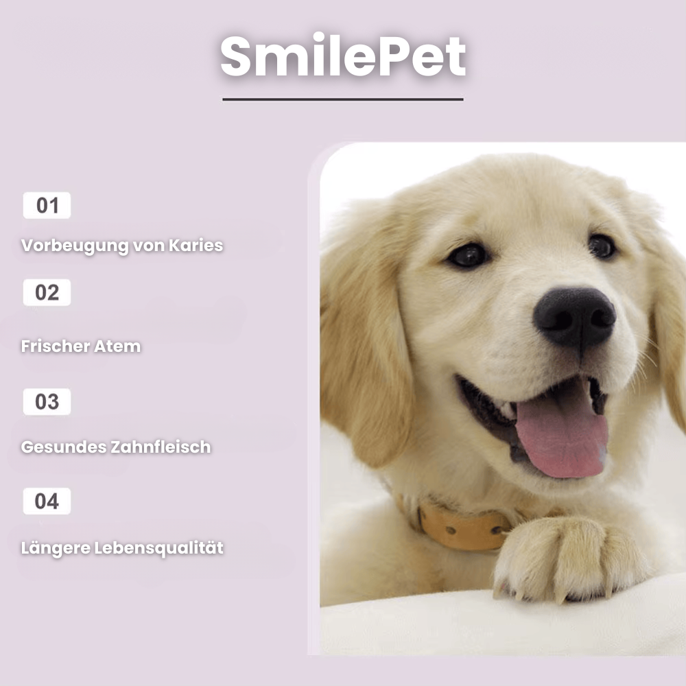 SmilePet
